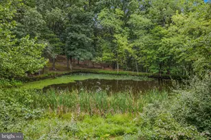 35 Sleepy View Ln, Berkeley Springs, WV 25411 - Photo 50