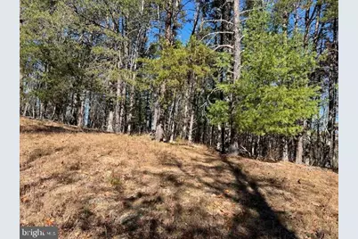 Runaway Court, Berkeley Springs, WV 25411 - Photo 8