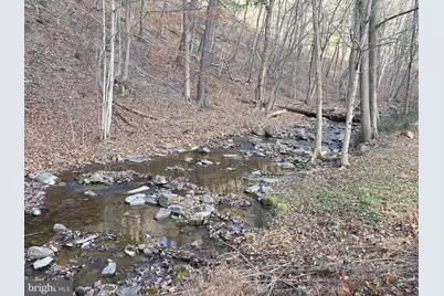 2128 Sir Johns Run Road, Berkeley Springs, WV 25411 - Photo 48