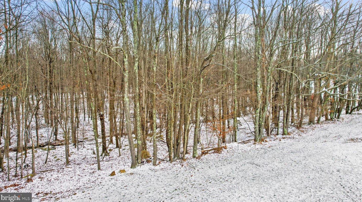 136 Skyview Dr, Reedsville WV  26547-9777 exterior