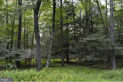 Lot 256 Azalea Ln, Terra Alta, WV 26764 - Photo 1