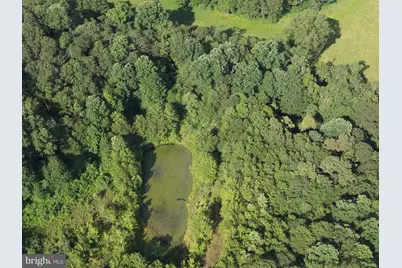 Tbd Chidester Road, Terra Alta, WV 26764 - Photo 18