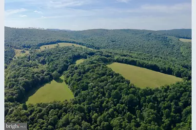 Tbd Chidester Road, Terra Alta, WV 26764 - Photo 16