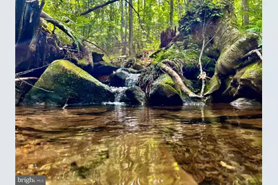 Tbd Chidester Road, Terra Alta, WV 26764 - Photo 1