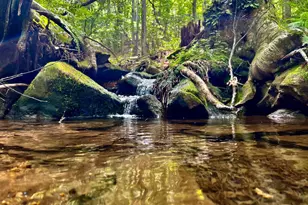 Tbd Chidester Rd, Terra Alta, WV 26764 - Photo 1