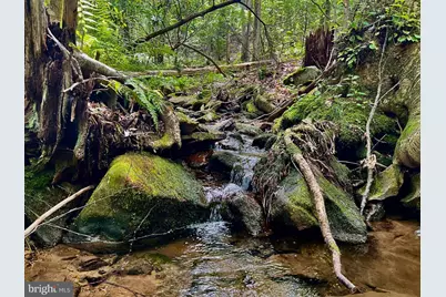 Tbd Chidester Road, Terra Alta, WV 26764 - Photo 6