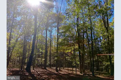 268 Wild Flower Way, Albright, WV 26519 - Photo 8