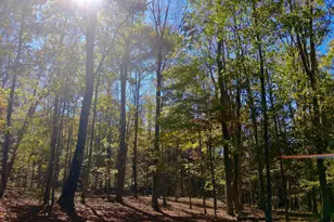 268 Wild Flower Way, Albright, WV 26519 - Photo 8