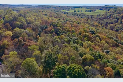 268 Wild Flower Way, Albright, WV 26519 - Photo 26