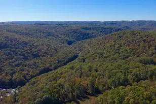 268 Wild Flower Way, Albright, WV 26519 - Photo 28