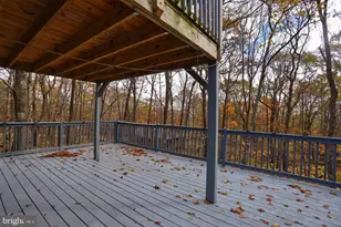 1218 E Alpine Dr, Terra Alta, WV 26764 - Photo 46