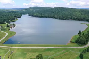 1218 E Alpine Dr, Terra Alta, WV 26764 - Photo 78