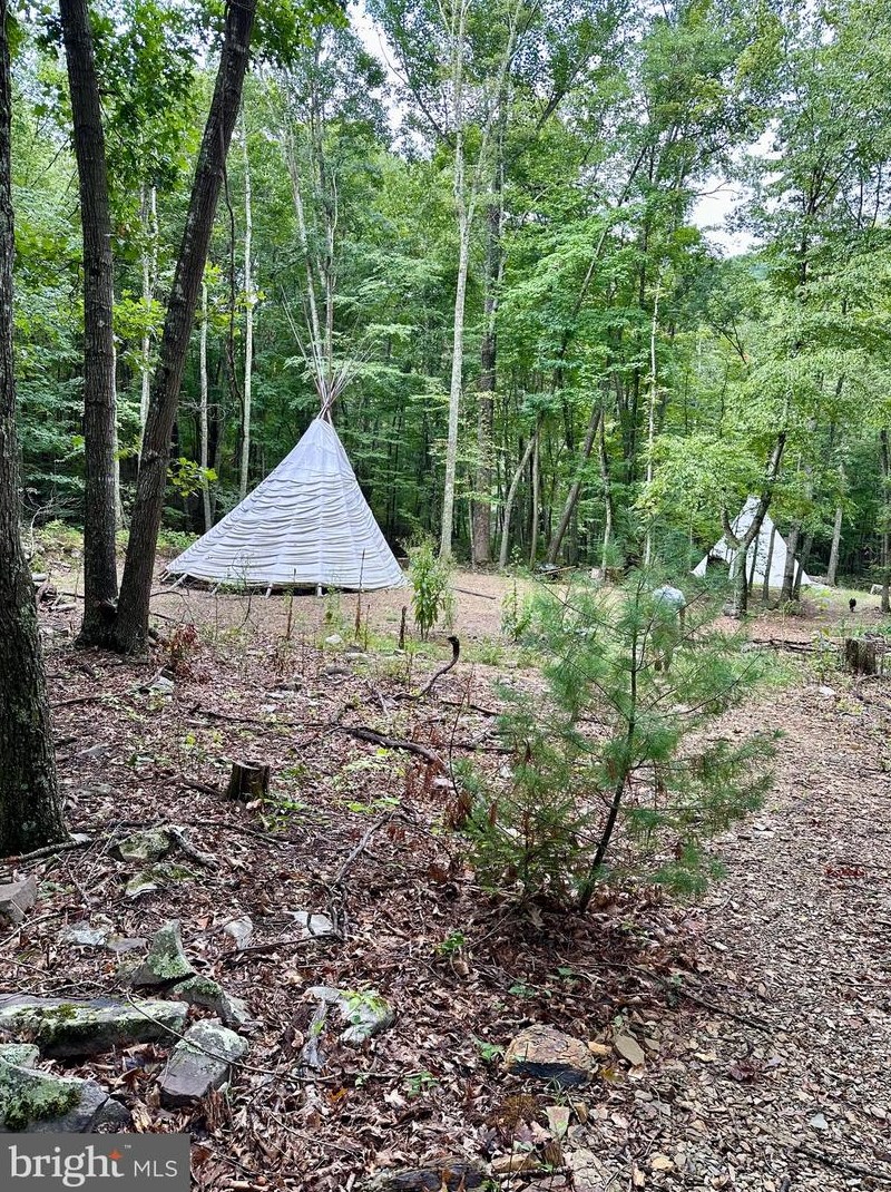 1643 Brady Hollow Rd, Brandywine, WV 26802
