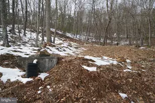 255 Troublesome Valley Rd, Franklin, WV 26807 - Photo 70