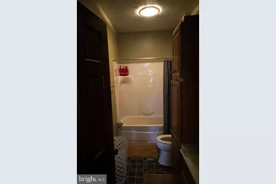 255 Troublesome Valley Road, Franklin, WV 26807 - Photo 42