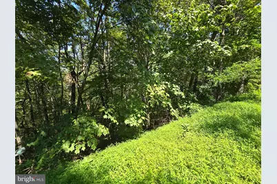Lot 24 Stone Fly Ln, Sugar Grove, WV 26815 - Photo 4