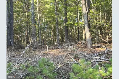 Lot 27 Native Trout Ln, Sugar Grove, WV 26815 - Photo 6