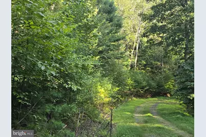 Lot 24 & 27 Native Trout Ln, Sugar Grove, WV 26815 - Photo 8