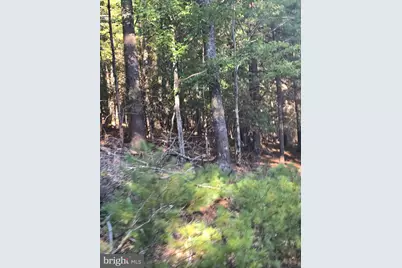 Lot 24 & 27 Native Trout Ln, Sugar Grove, WV 26815 - Photo 6