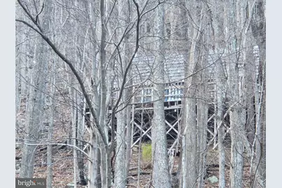 5994 Mount Freedom Drive, Circleville, WV 26804 - Photo 36