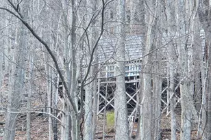 5994 Mount Freedom Dr, Circleville, WV 26804 - Photo 36