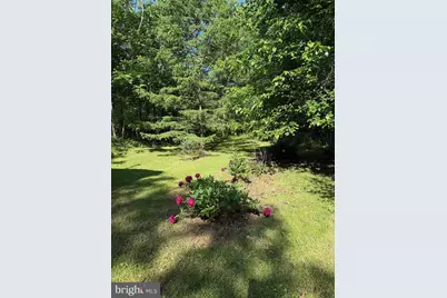 5994 Mount Freedom Drive, Circleville, WV 26804 - Photo 24