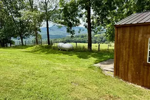 137 Elm St, Franklin, WV 26807 - Photo 86