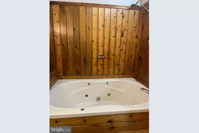 18 Red Squirrel Run, Davis, WV 26260 - Photo 12