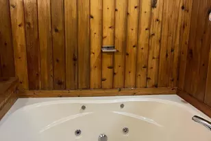 18 Red Squirrel Run, Davis, WV 26260 - Photo 12