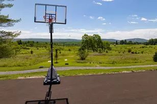 18 Red Squirrel Run, Davis, WV 26260 - Photo 24