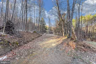 1012 Cannon Settlement Rd, Parsons, WV 26287 - Photo 46