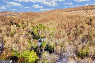 1012 Cannon Settlement Rd, Parsons, WV 26287 - Photo 50