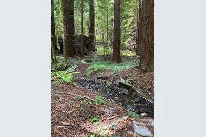 1545 Cazadero Highway, Cazadero, CA 95421 - Photo 1