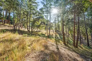 5 Chaparral Ln, San Geronimo, CA 94963 - Photo 1