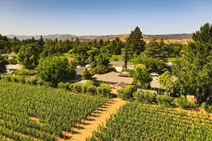 1077 Valley View St, Saint Helena, CA 94574 - Photo 1