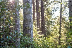 46990 Getchell Gulch Rd, Gualala, CA 95445 - Photo 1