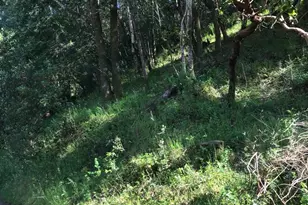 0 Piper Ln Ln, Fairfax, CA 94930 - Photo 1