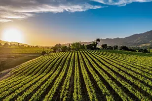 650 Kenilworth Ave, Kenwood, CA 95452 - Photo 1