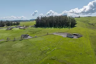 3785 Roblar Rd, Petaluma, CA 94952 - Photo 1