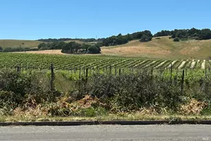 123 Bear Flag Rd, Sonoma, CA 95476 - Photo 1