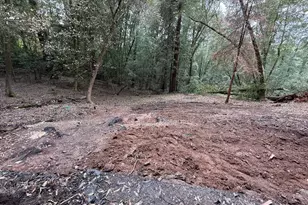 10524 Woodside Dr, Forestville, CA 95436 - Photo 1