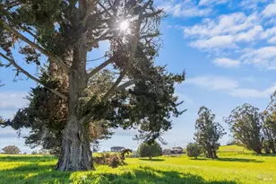 549 Fairview Ct, Petaluma, CA 94952 - Photo 1