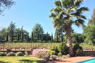 1800 Cabernet Ln, Saint Helena, CA 94574 - Photo 1