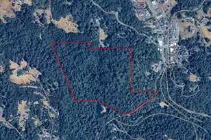 15100 Bittner Rd, Occidental, CA 95465 - Photo 1