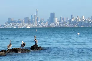 305 2nd St, Sausalito, CA 94965 - Photo 1