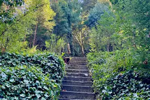 18090 Hwy 116 Hwy, Guerneville, CA 95446 - Photo 1