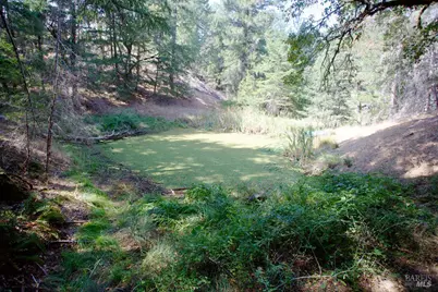 3600 Blackhawk Drive, Willits, CA 95490 - Photo 1