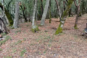 1832 Tulip Pl, Willits, CA 95490 - Photo 1