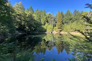 51901 Stivers Rd, Laytonville, CA 95454 - Photo 1