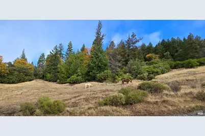 32120 Shimmins Ridge Road, Willits, CA 95490 - Photo 1